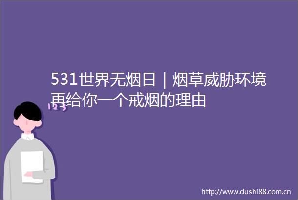 531世界无烟日｜烟草威胁环境再给你一个戒烟的理由