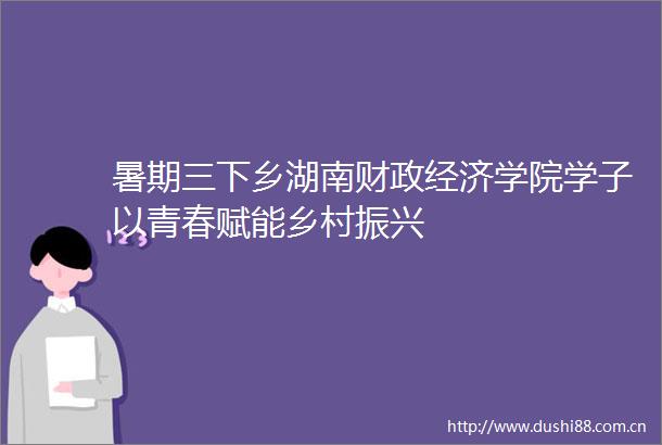 暑期三下乡湖南财政经济学院学子以青春赋能乡村振兴