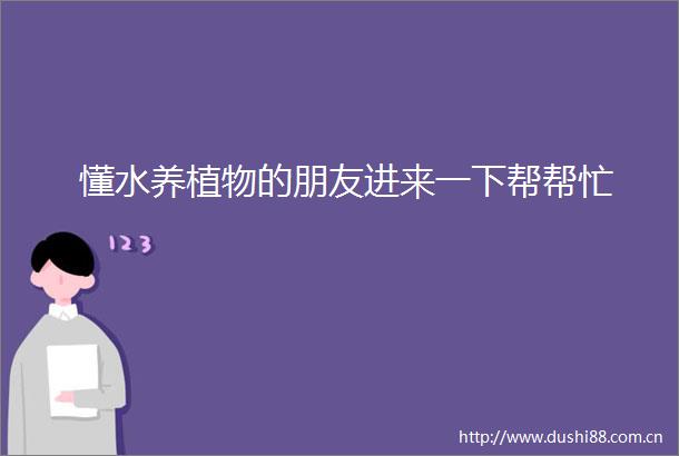 懂水养植物的朋友进来一下帮帮忙