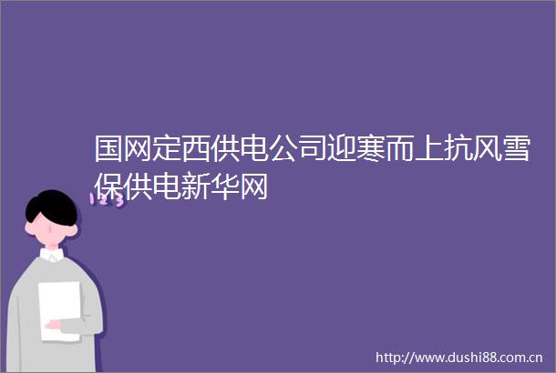 国网定西供电公司迎寒而上抗风雪保供电新华网