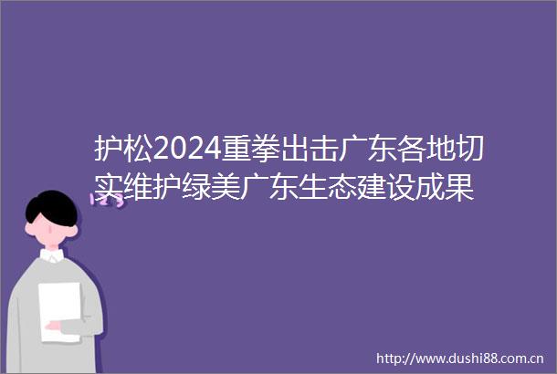 护松2024重拳出击广东各地切实维护绿美广东生态建设成果