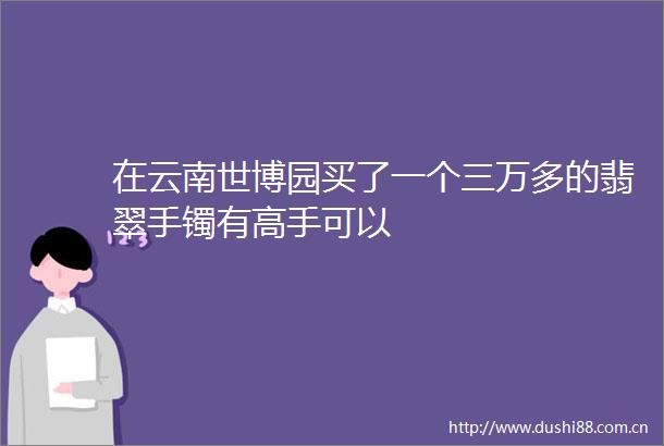 在云南世博园买了一个三万多的翡翠手镯有高手可以