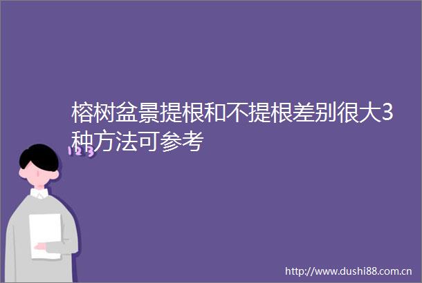 榕树盆景提根和不提根差别很大3种方法可参考