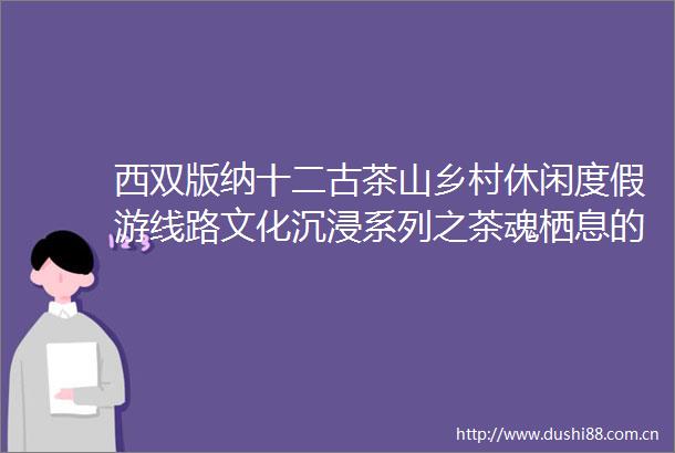 西双版纳十二古茶山乡村休闲度假游线路文化沉浸系列之茶魂栖息的贺开古茶园