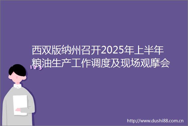 西双版纳州召开2025年上半年粮油生产工作调度及现场观摩会