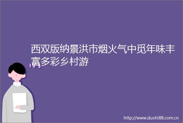 西双版纳景洪市烟火气中觅年味丰富多彩乡村游