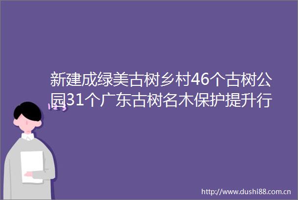 新建成绿美古树乡村46个古树公园31个广东古树名木保护提升行动见实效