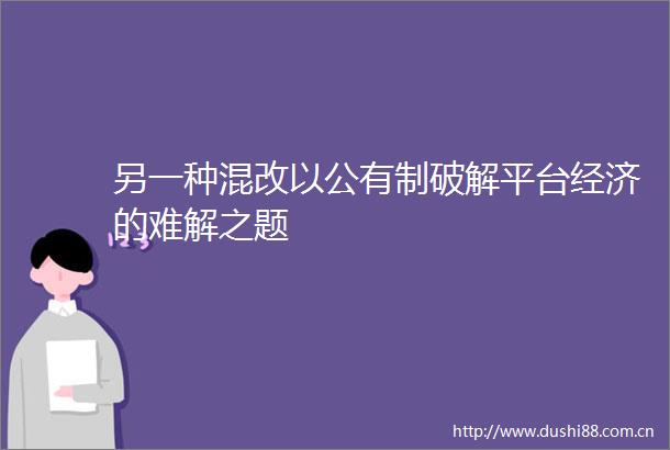 另一种混改以公有制破解平台经济的难解之题