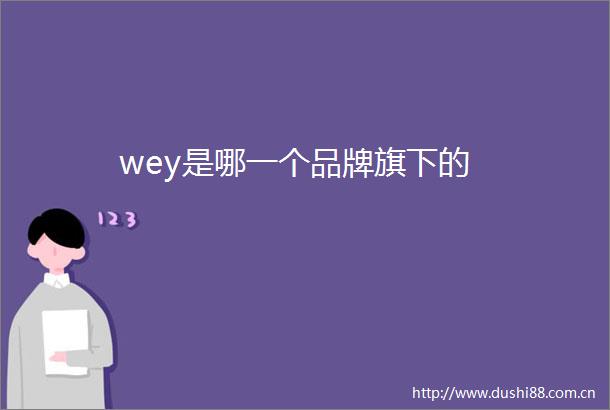 wey是哪一个品牌旗下的