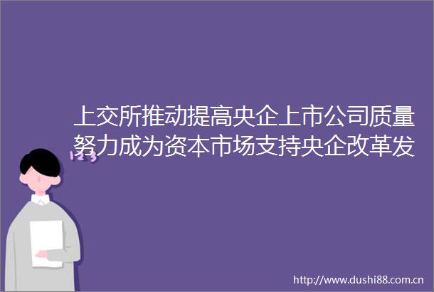 上交所推动提高央企上市公司质量努力成为资本市场支持央企改革发展主战场