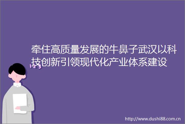 牵住高质量发展的牛鼻子武汉以科技创新引领现代化产业体系建设