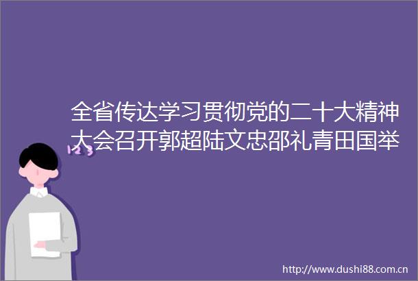 全省传达学习贯彻党的二十大精神大会召开郭超陆文忠邵礼青田国举雷延军徐健等在我县分会场收听收看