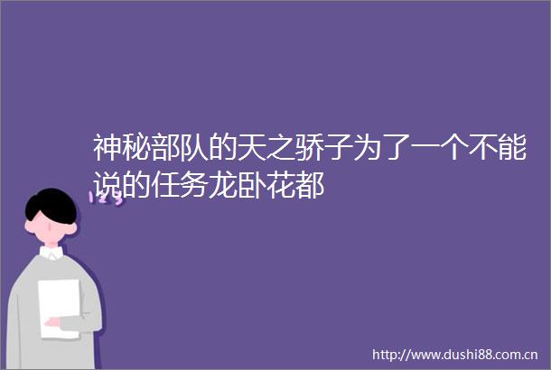 神秘的天之骄子为了一个不能说的任务龙卧花都