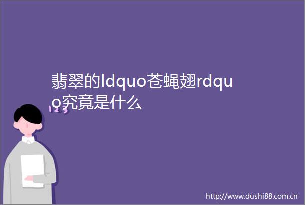 翡翠的ldquo苍蝇翅rdquo究竟是什么