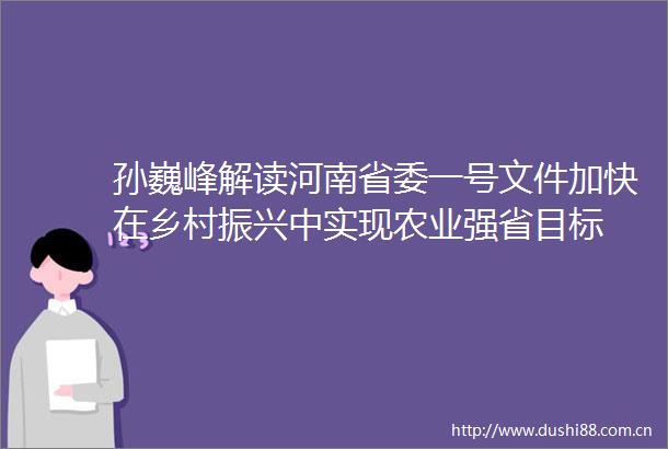 孙巍峰解读河南省委一号文件加快在乡村振兴中实现农业强省目标