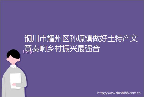 铜川市耀州区孙塬镇做好土特产文章奏响乡村振兴最强音