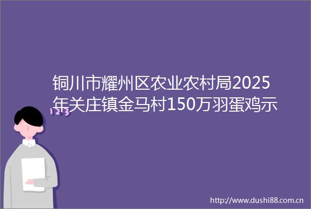 铜川市耀州区农业农村局2025年关庄镇金马村150万羽蛋鸡示范场基础设施提升项目全过程咨询服务采购竞争性磋商公告