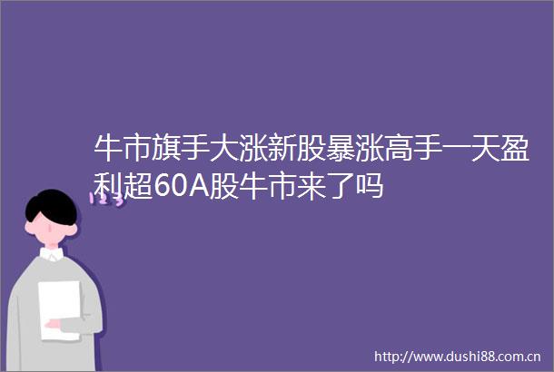 牛市旗手大涨新股暴涨高手一天盈利超60A股牛市来了吗