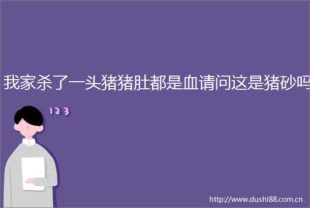 我家杀了一头猪猪肚都是血请问这是猪砂吗