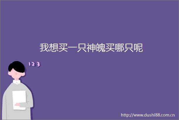 我想买一只神魄买哪只呢
