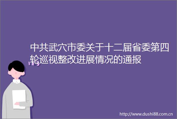 武穴市委关于十二届省委第四轮巡视整改进展情况的通报