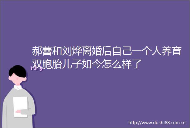 郝蕾和刘烨离婚后自己一个人养育双胞胎儿子如今怎么样了