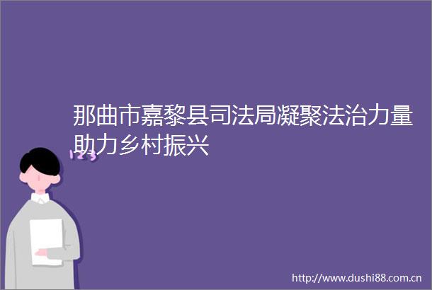 那曲市嘉黎县司法局凝聚法治力量助力乡村振兴