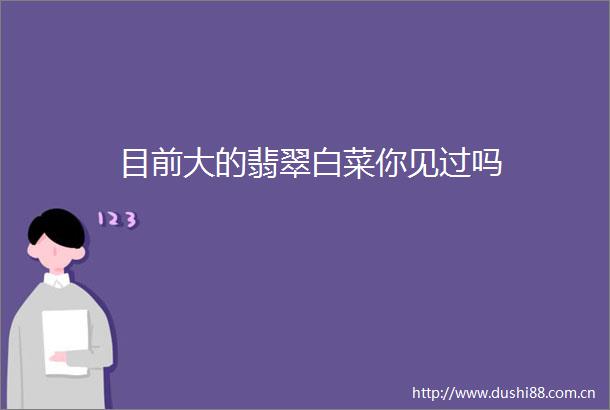 目前大的翡翠白菜你见过吗