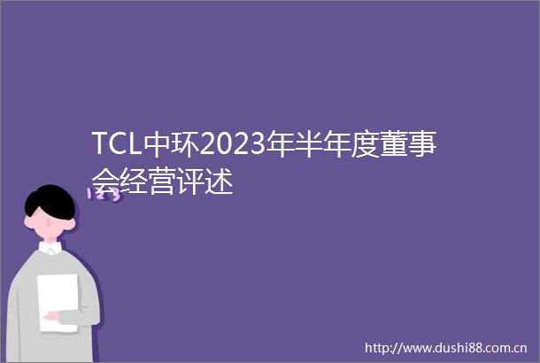 TCL中环2023年半年度董事会经营评述