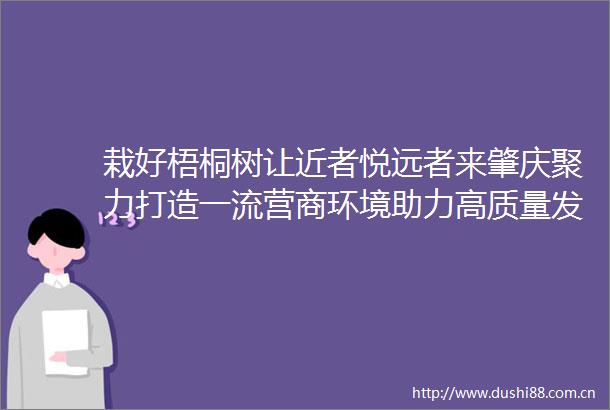 栽好梧桐树让近者悦远者来肇庆聚力打造一流营商环境助力高质量发展