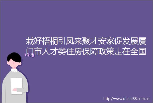 栽好梧桐引凤来聚才安家促发展厦门市人才类住房保障政策走在全国前列