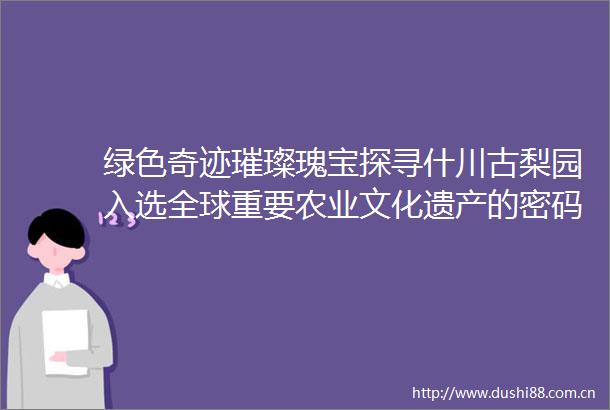 绿色奇迹璀璨瑰宝探寻什川古梨园入选全球重要农业文化遗产的密码