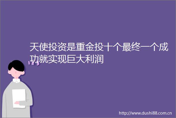 天使投资是重金投十个最终一个成功就实现巨大利润