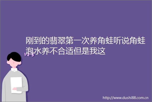 刚到的翡翠第一次养角蛙听说角蛙泡水养不合适但是我这