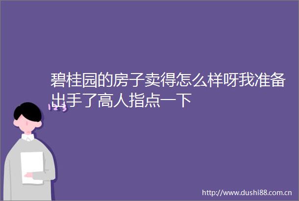 碧桂园的房子卖得怎么样呀我准备出手了高人指点一下