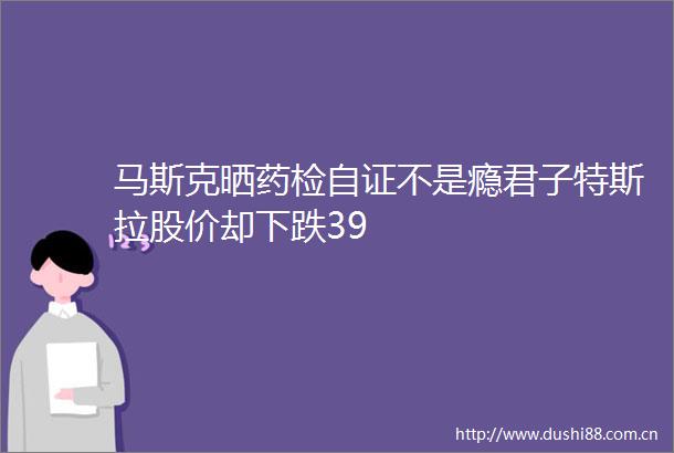 马斯克晒药检自证不是瘾君子特斯拉股价却下跌39