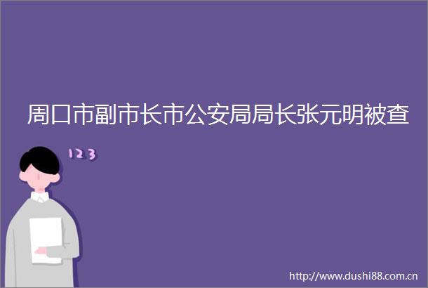 周口市副市长市局局长张元明被查
