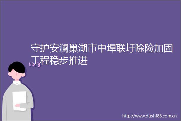 守护安澜巢湖市中垾联圩除险加固工程稳步推进