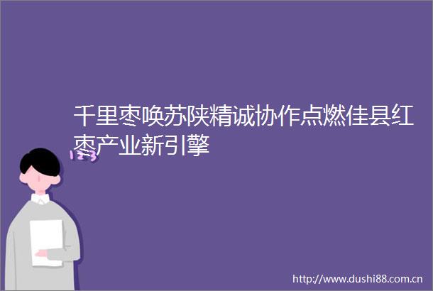 千里枣唤苏陕精诚协作点燃佳县红枣产业新引擎