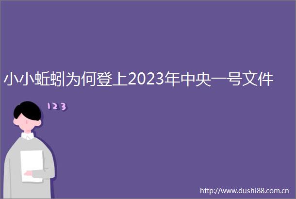 小小蚯蚓为何登上2023年中央一号文件