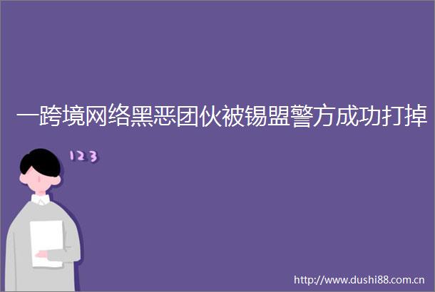 一跨境网络团伙被锡盟警方成功打掉