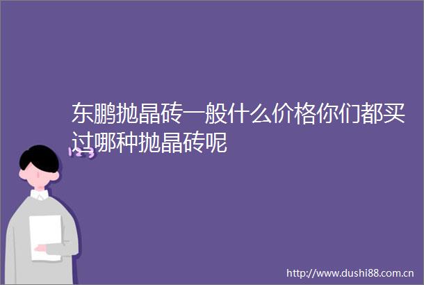 东鹏抛晶砖一般什么价格你们都买过哪种抛晶砖呢