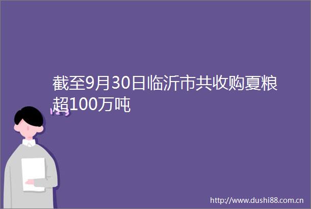 截至9月30日临沂市共收购夏粮超100万吨