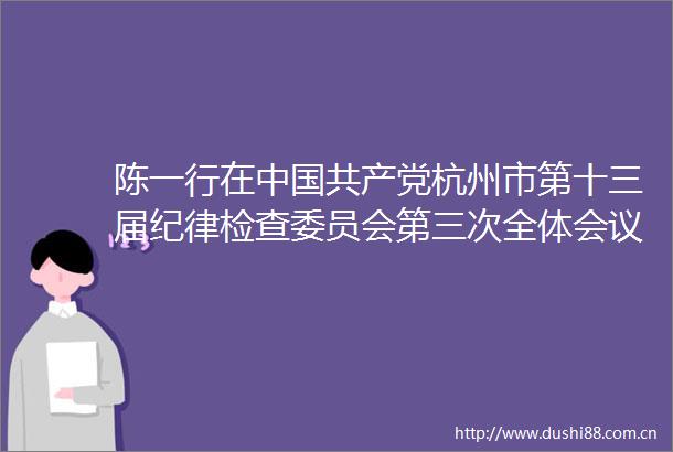 陈一行在杭州市第十三届纪律检查委员会第三次全体会议上的工作报告