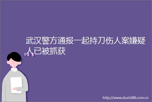 武汉警方通报一起持刀伤人案嫌疑人已被抓获