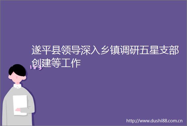 遂平县深入乡镇调研五星支部创建等工作