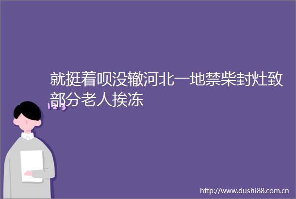 就挺着呗没辙河北一地禁柴封灶致部分老人挨冻