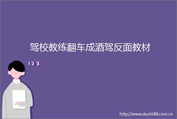 驾校教练翻车成酒驾反面教材
