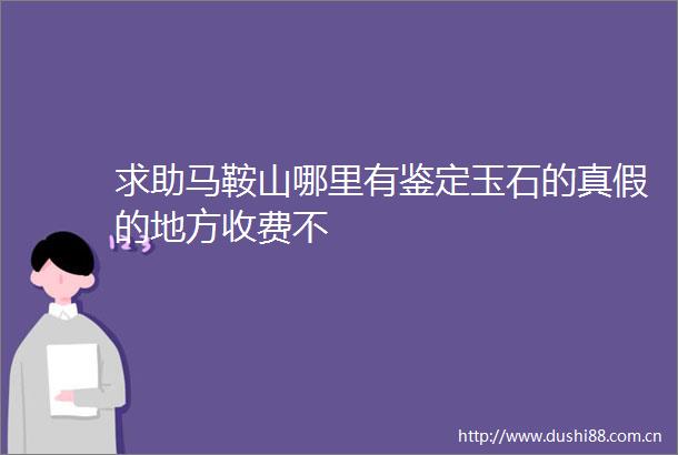 求助马鞍山哪里有鉴定玉石的真假的地方收费不
