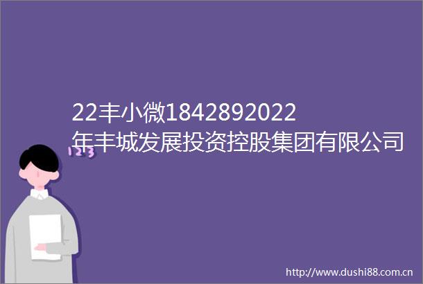 22丰小微1842892022年丰城发展投资控股集团有限公司小微企业增信集合债券2024年跟踪评级报告